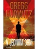 V jednom ohni (Gregg Andrew Hurwitz)