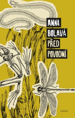 Před povodní (Anna Bolavá)