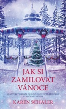 Jak si zamilovat Vánoce (Karen Schaler)