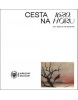 1620. Cesta na Horu / 1620. Road to the Mountain