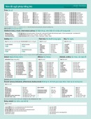 Česká gramatika v kostce vietnamsky (Lída Holá, Pavla Bořilová)