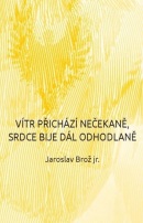 Vítr přichází nečekaně, srdce bije dál odhodlaně (Jaroslav Brož)