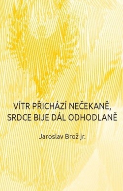 Vítr přichází nečekaně, srdce bije dál odhodlaně (Jaroslav Brož)