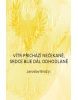 Vítr přichází nečekaně, srdce bije dál odhodlaně (Jaroslav Brož)