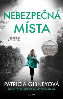 Nebezpečná místa (Patricia Gibney)