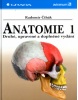 Anatomie 1. (Radomír Čihák; Milan Med)