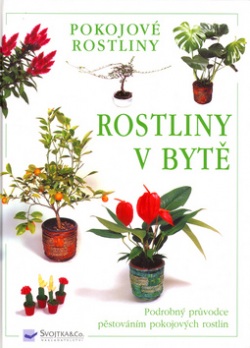 Rostliny v bytě (autor neuvedený)