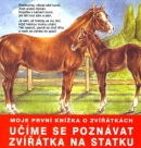 Učíme se poznávat zvířátka na statku (Inka Delevová)