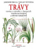 Trávy (Václav Větvička, Jaromír Šikula)