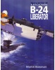 Bojové legendy B-24 Liberator (Martin W. Bowman)