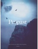 Propast (Jozef Karika)