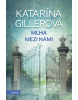 Mlha mezi námi (Katarína Gillerová)