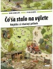 Čo sa stalo na výlete (1. akosť) (Doro Göbel)