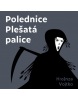 Polednice Plešatá palice (audiokniha) (Honza Vojtko)