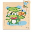 Puzzle na doske Vývoj žaby
