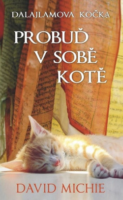 Dalajlamova kočka Probuď v sobě kotě (David Michie)