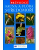 Fauna a flóra středomoří (Paul Sterry)