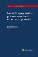 Náhrada újmy vzniklé pracovním úrazem či nemocí z povolání (Kateřina Demová, Margerita Vysokajová)