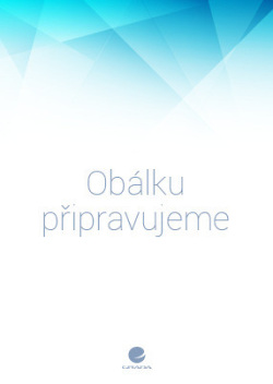 Scénář na lásku (Annabel Monaghan)