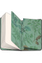 Notes Bylinky Kateřiny Winterové linajkovaný (Kateřina Winterová)