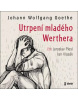 Utrpení mladého Werthera (Audiokniha)