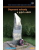 Dopravní nehody a jejich oběti (Stanislav Hájek, Michal Vaněček)