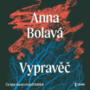 Vypravěč (Audiokniha) (Igor Bareš, Kamil Halbich, Anna Bolavá)