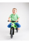 Odrážadlo FUNNY WHEELS Rider Sport zelené 2v1, 18m+