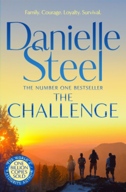 The Challenge (Danielle Steel)