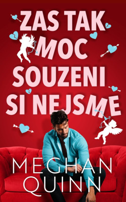 Zas tak moc souzeni si nejsme (Meghan Quinn)