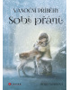 Vánoční příběhy: Sobí přání (Holly Webb)