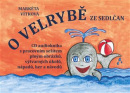 O velrybě ze Sedlčan + CD (Markéta Vítková)