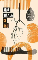 Ke dnu (Anna Bolavá)