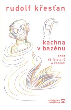 Kachna v bazénu (Rudolf Křesťan)