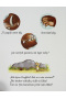Gruffalo (Axel Scheffler, Julia Donaldson)
