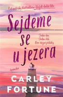 Sejdeme se u jezera (Carley Fortune)