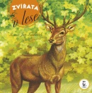 Zvířata v lese (Jan Kudláček)