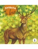 Zvířata v lese (Jan Kudláček)