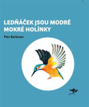 Lednáček jsou modré mokré holínky (Petr Borkovec)
