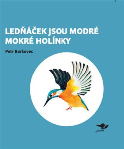 Lednáček jsou modré mokré holínky (Petr Borkovec)