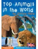 Top Animals in the World (Jiří Plocek)